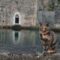 a cat sitting on a ledge near a body of water